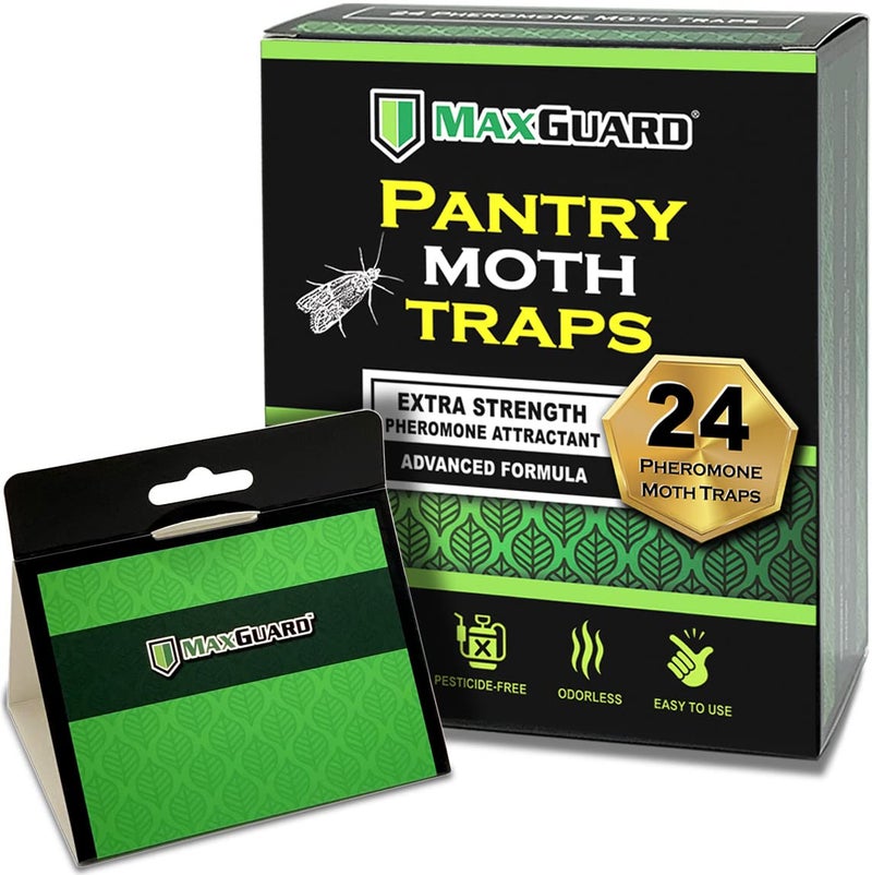 MaxGuard Pantry Moth Traps (24 Pack) with Extra Strength Pheromones | Non-Toxic Sticky Glue Trap for Food and Cupboard Moths in Your Kitchen | Trap and Kill Seed Grain Flour Meal Moths Pests | - Image 1
