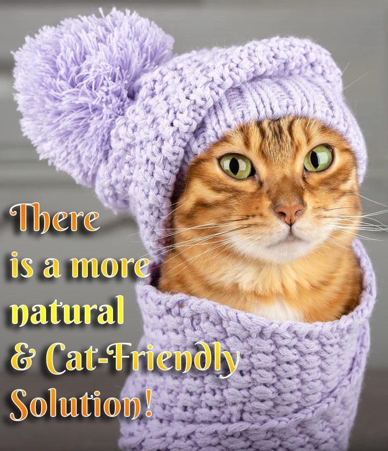 Pet MasterMind Fluffy Feline Professional Groomer's Choice for Cat Dandruff Treatment Spray - Image 3