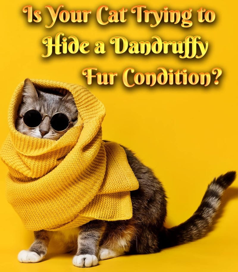 Pet MasterMind Fluffy Feline Professional Groomer's Choice for Cat Dandruff Treatment Spray - Image 2