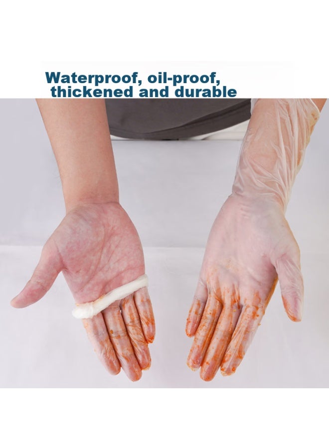 Intco Disposable Gloves, Pvc, Small Size, 100 Pieces, 12 Inches, Extended Length, Food-grade, For Catering, Kitchen, Waterproof, Household Cleaning - Image 5