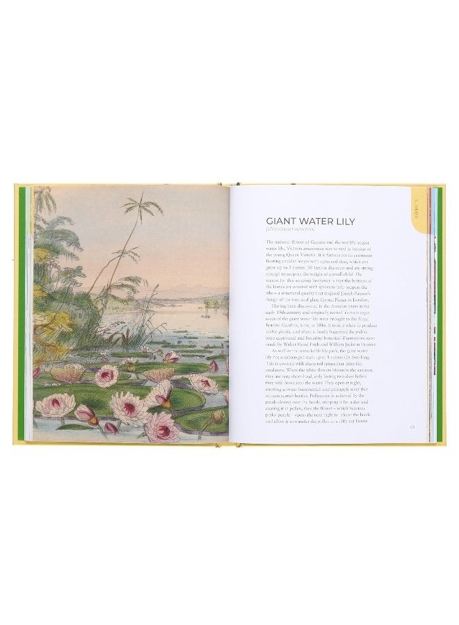 The Kew Gardens Nature Journal: Enjoy the Beauty of the Natural World - Image 4