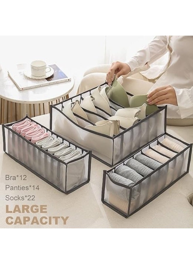 Underwear Drawer Storage Box Set 6 Pieces Foldable Underwear Storage Box for Socks, Pantyhose Bras - pzsku/ZAB30C5D42123F48222D3Z/45/_/1713604179/ae703a0e-f409-4e81-9f97-27bb8fd1c5a0