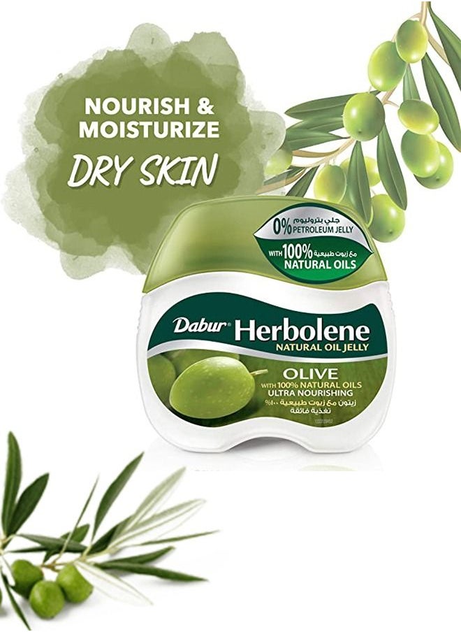 Dabur - Dabur Herbolene Olive Petroleum Jelly | Enriched with Olive and Vitamin E | For Damaged Skin - 240 ml - Image 1