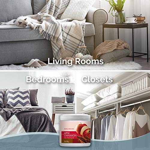 Smells Begone جيل مزيل الروائح SMELLS BEGONE - 15 أونصة، عبوة من 2 - يمتص ويقضي على الروائح في مناطق الحيوانات الأليفة، الحمامات، السيارات، والقوارب - مصنوع من الزيوت الأساسية - رائحة تفاح بالقرفة - Image 3