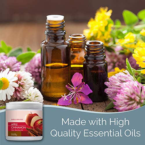 Smells Begone جيل مزيل الروائح SMELLS BEGONE - 15 أونصة، عبوة من 2 - يمتص ويقضي على الروائح في مناطق الحيوانات الأليفة، الحمامات، السيارات، والقوارب - مصنوع من الزيوت الأساسية - رائحة تفاح بالقرفة - Image 4