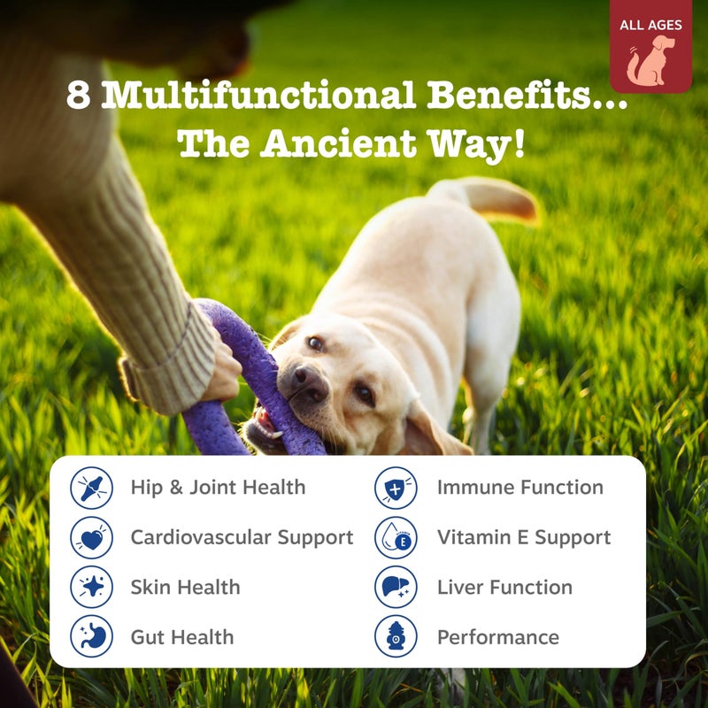 Zesty Paws Dog Multivitamin, Chewable Dog Vitamins and Supplements for Hip & Joints, Skin & Coat, Omega 3 Fish Oil for Dogs- Senior & Puppy Multivitamin - Bison- 90ct - Image 2