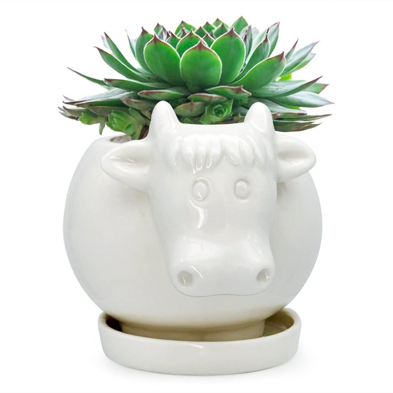 GeLive White Cow Planter Cute Cartoon Plant Pot Small Ceramic Succulent Pot Fun Air Plant Holder Pencil Holder Brush Organizer Animal Tabletop Decor Indoor Mini Cow Figurines Statue Funny Gift