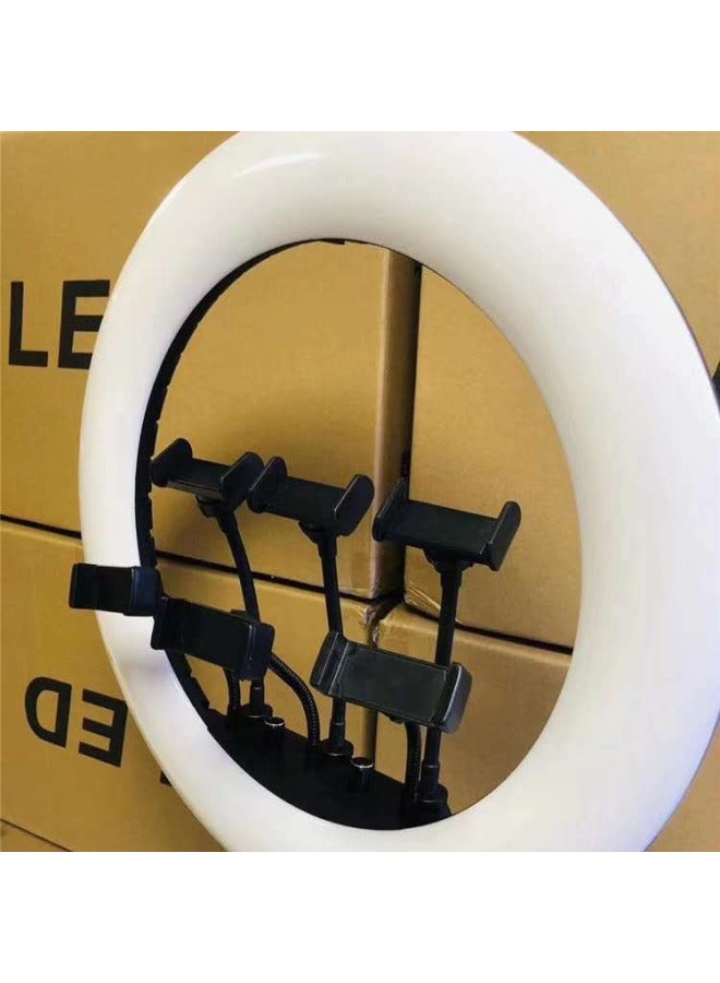 general 18-inch SMN-18 Live Light Lights Beauty And Skin Rejuvenation Internet Celebrity Selfie Floor High Definition Soft Light Ring Light Six-seat-Color:18 fill Light (6 Seats) - Image 3