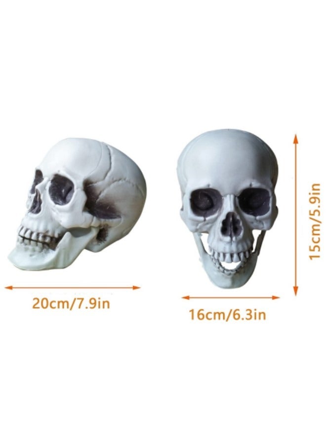 Life Size Human Skull for Party Decoration,Simulation Plastic Skull Sculpture Skull Lifesize Skeleton Skull