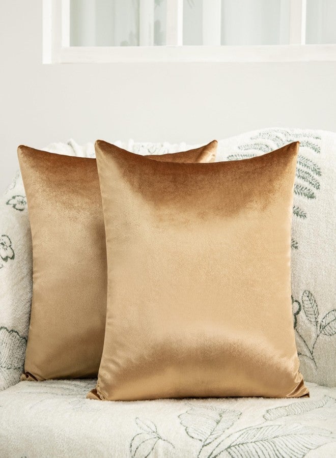 Counfeisly 2 Pack Gold Velvet Pillow Covers, 24x24 Inches Decorative Cushion Covers for Couch Sofa Bed, Super Soft and Cozy Luxury, Zippered Design - Image 1