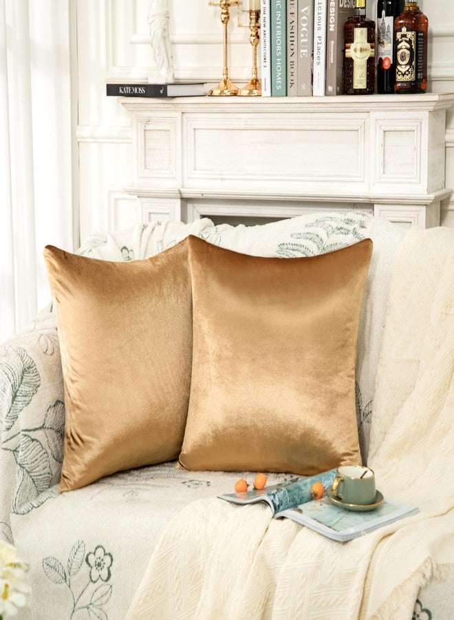 Counfeisly 2 Pack Gold Velvet Pillow Covers, 24x24 Inches Decorative Cushion Covers for Couch Sofa Bed, Super Soft and Cozy Luxury, Zippered Design - Image 5