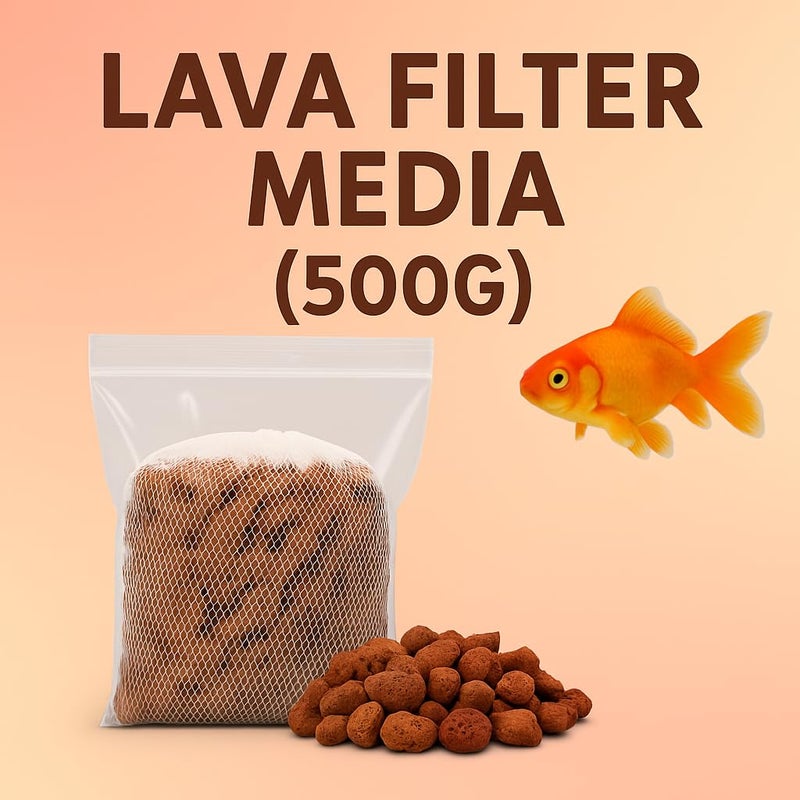VAYINATO Lava Filter Media, (500G) | The Finest Hand Picked Volcano Lava Porous and Water Treatment Filter Media for Aquarium (Pack of 1) - Image 5