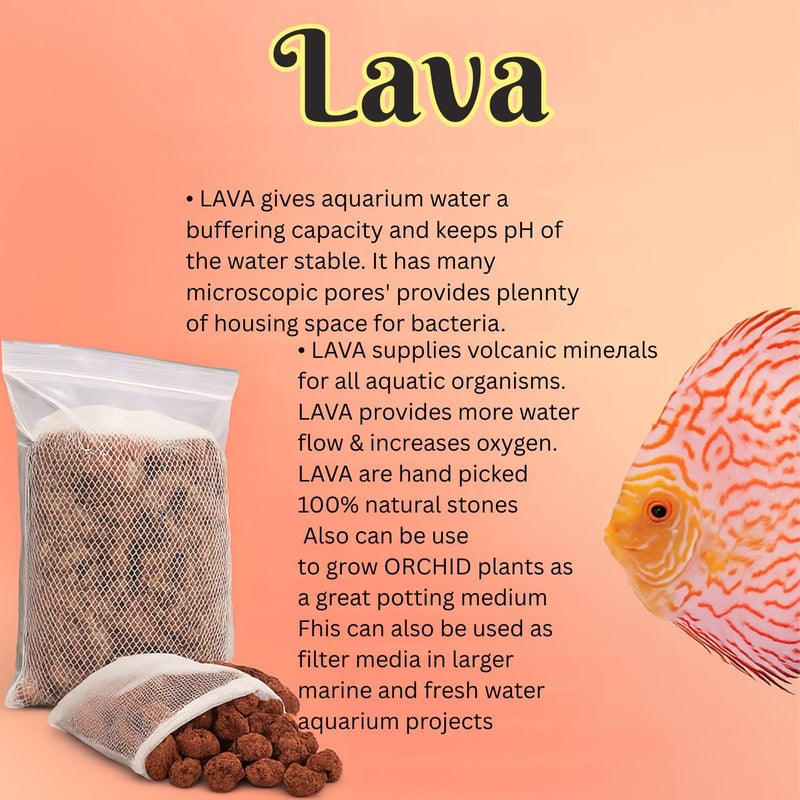 VAYINATO Lava Filter Media, (500G) | The Finest Hand Picked Volcano Lava Porous and Water Treatment Filter Media for Aquarium (Pack of 1) - Image 3