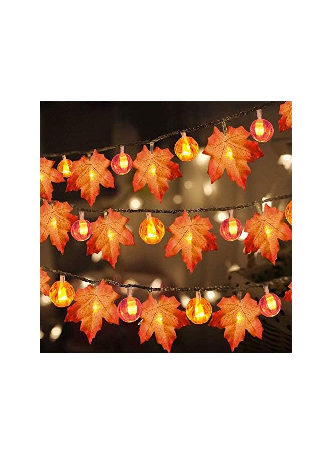 The Bros 3 Pack Thanksgiving Pumpkin Lights Decorations Maple Fall String Lights, Thanksgiving Fall Lights 30 ft 60 Led Waterproof Battery Operated Fall Garland for Indoor Home Outdoor Decor Holiday  - Image 2