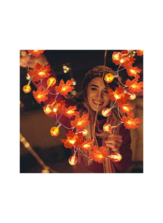 The Bros 3 Pack Thanksgiving Pumpkin Lights Decorations Maple Fall String Lights, Thanksgiving Fall Lights 30 ft 60 Led Waterproof Battery Operated Fall Garland for Indoor Home Outdoor Decor Holiday  - Image 4