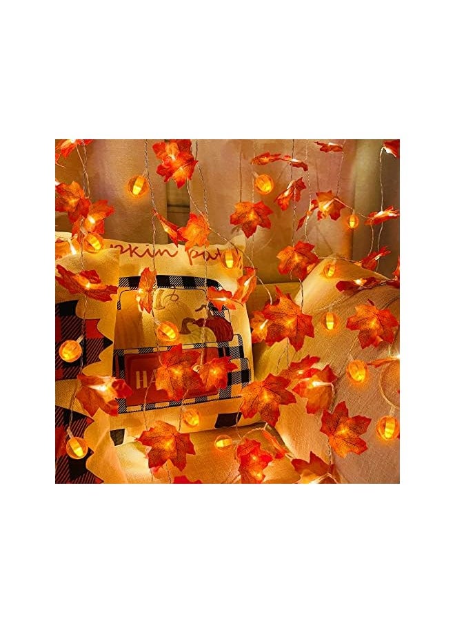 The Bros 3 Pack Thanksgiving Pumpkin Lights Decorations Maple Fall String Lights, Thanksgiving Fall Lights 30 ft 60 Led Waterproof Battery Operated Fall Garland for Indoor Home Outdoor Decor Holiday  - Image 5