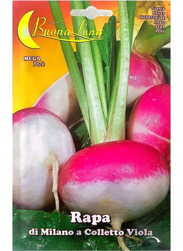 Buona Luna Turnip Seeds  - Image 1