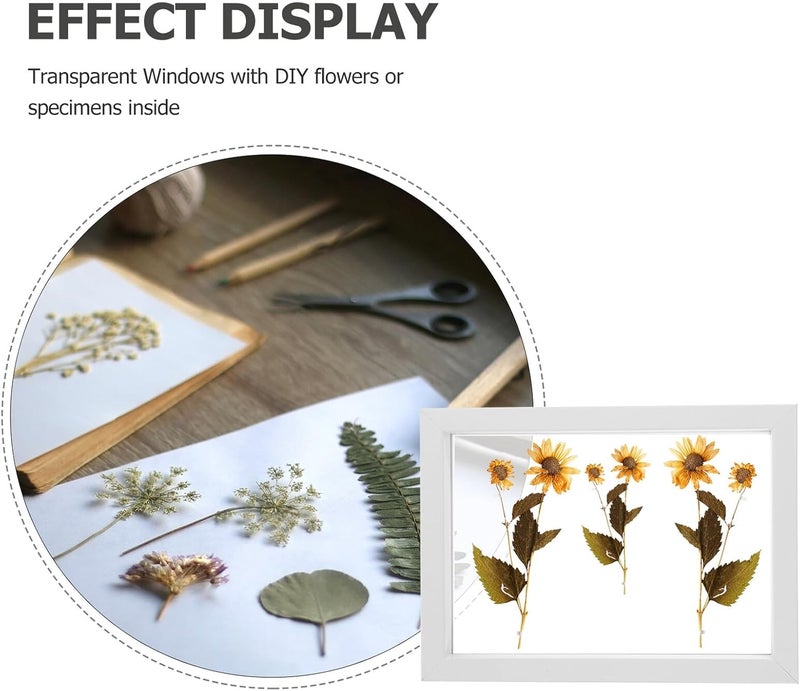 Double-sided Glass Display Frame 7 Inch White Wooden Photo Frame for Dried Flower Art and Plant Specimen Tabletop Decoration - Image 3