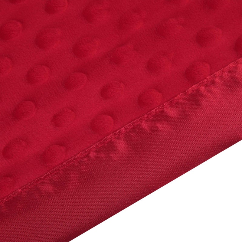 Pro Goleem Baby Soft Minky Dot Blanket with Silky Satin Backing Baby Gifts for Boys and Girls (Red, 30’’ x 40’’) - Image 4