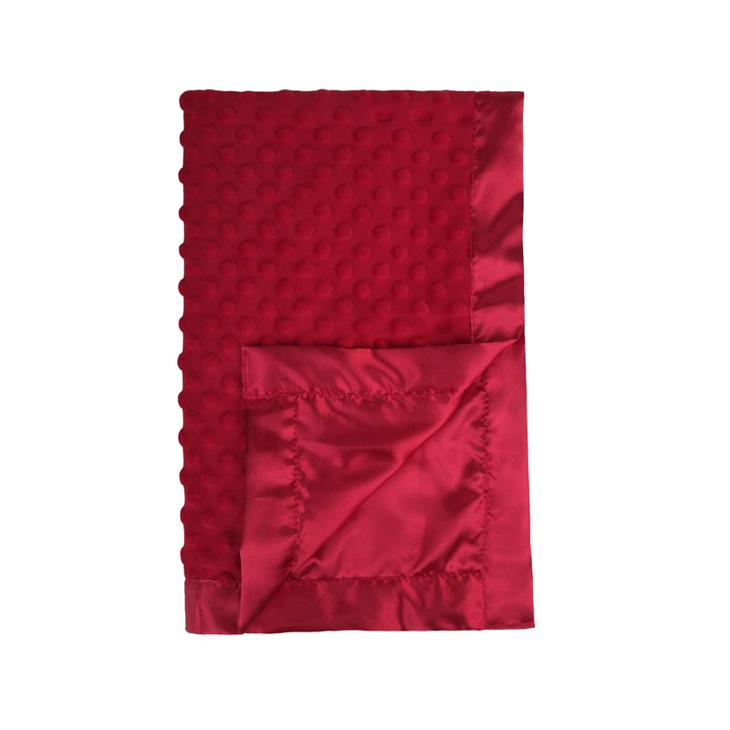 Pro Goleem Baby Soft Minky Dot Blanket with Silky Satin Backing Baby Gifts for Boys and Girls (Red, 30’’ x 40’’) - Image 1