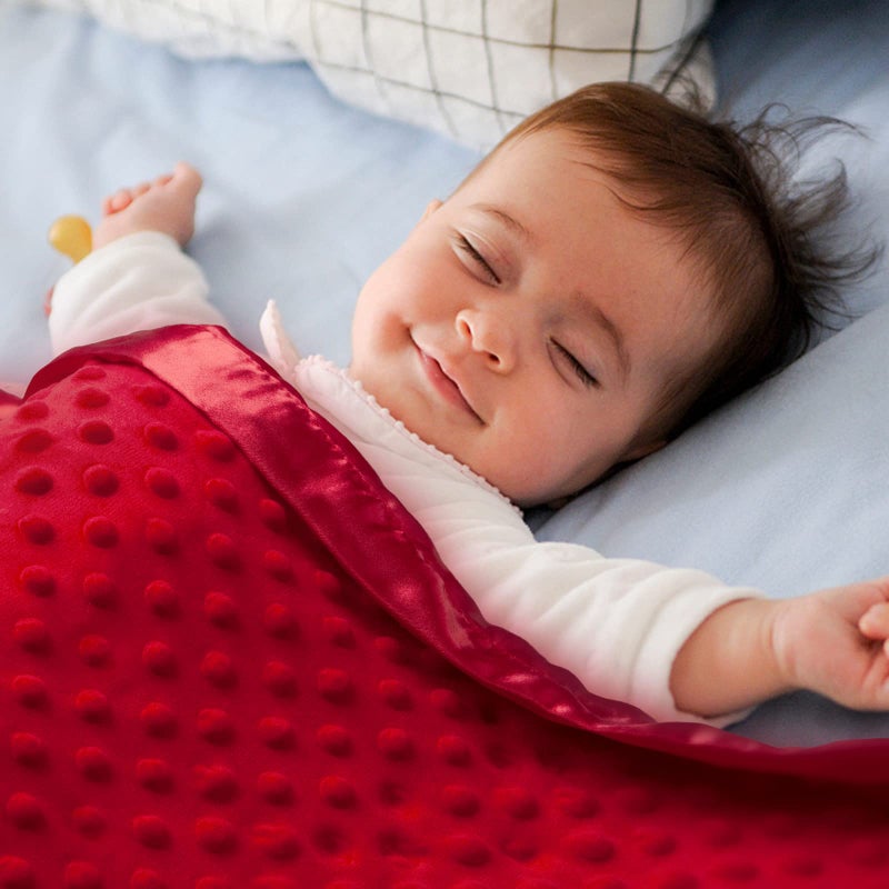 Pro Goleem Baby Soft Minky Dot Blanket with Silky Satin Backing Baby Gifts for Boys and Girls (Red, 30’’ x 40’’) - Image 2