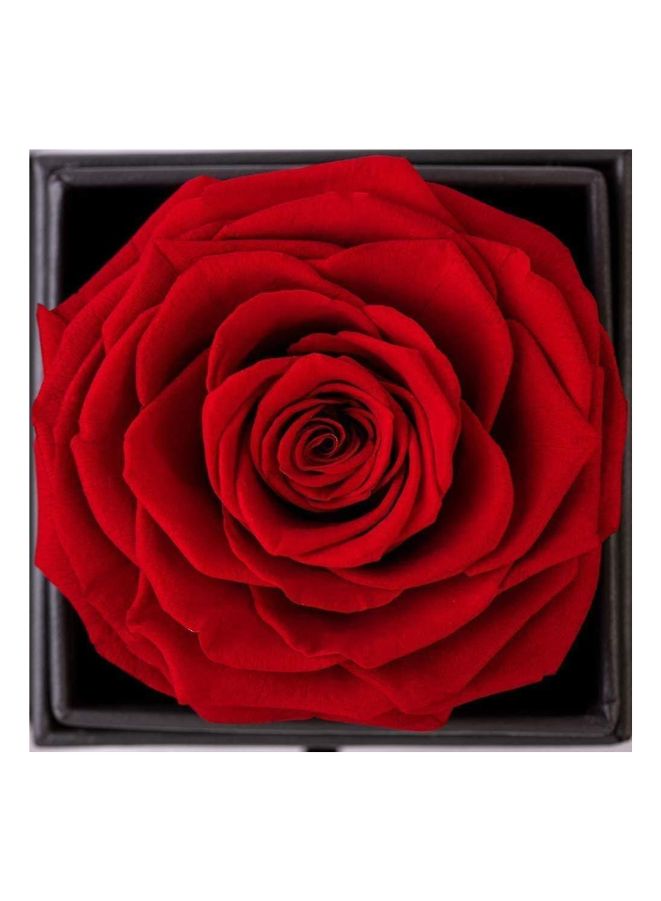 Generic Handmade Preserved Rose Flower Jewelry Storage Box and Heart Pendant Necklace Greeting Card and Bag included, Rose Gift for Girlfriend/Mother/Wife on Anniversary Valentine's Day Mother's Day  - Image 4
