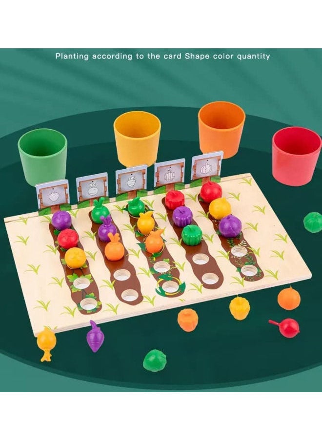 Cordova Learning Resources Veggie Farm Sorting wooden Mathematics Early Education Toys  - Image 1