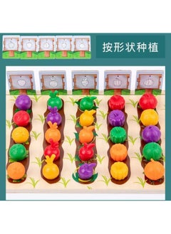 Cordova Learning Resources Veggie Farm Sorting wooden Mathematics Early Education Toys  - Image 5