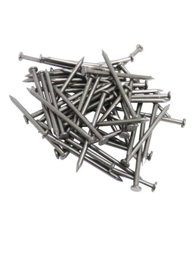 High Strength Round Head Nails For Carpentry Hardware Electrical Etc (75, 1 inch) - Image 2