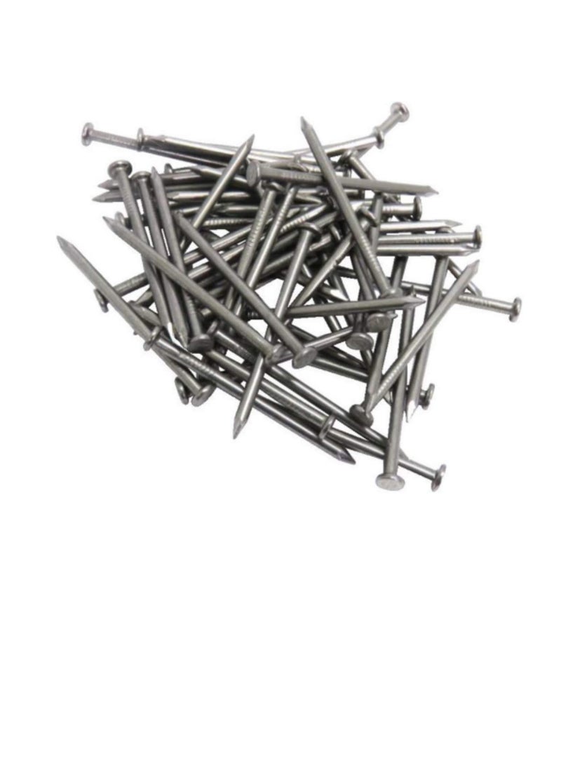 High Strength Round Head Nails For Carpentry Hardware Electrical Etc (75, 1 inch) - Image 3