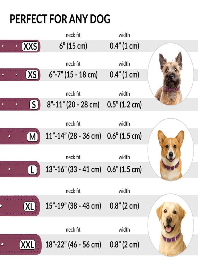 CollarDirect Rolled Leather Dog Collar, Soft Padded Round Puppy Collar, Handmade Genuine Leather Collar Dog Small Large Cat Collars 13 Colors (11-14 Inch, Pink Textured) - Image 4