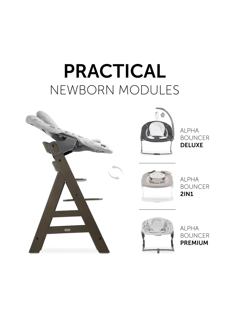 hauck High Chair Alpha+ Fsc Certified Beechwood, Wooden Highchair From 6 Months Up To 90 Kg, Toddler High Chair Incl. Crotch Strap In Leatherette 5 - Point Harness Bumper Bar - Charcoal
