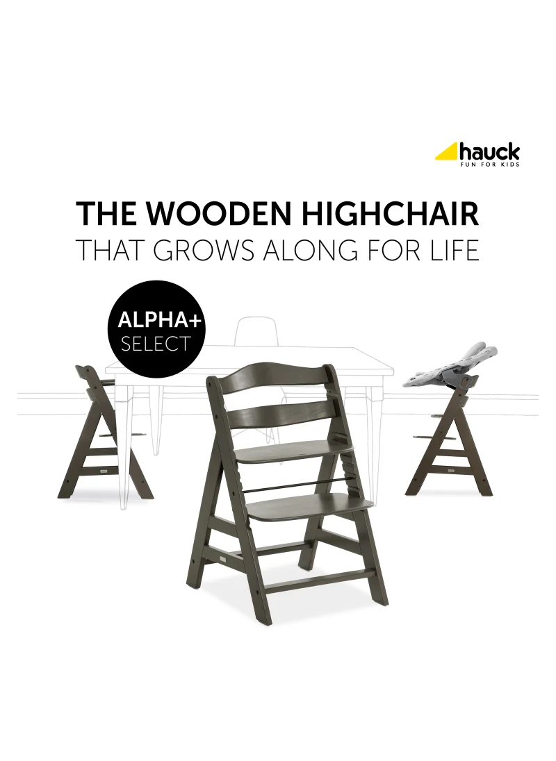 هوك High Chair Alpha+ Fsc Certified Beechwood, Wooden Highchair From 6 Months Up To 90 Kg, Toddler High Chair Incl. Crotch Strap In Leatherette 5 - Point Harness Bumper Bar - Charcoal