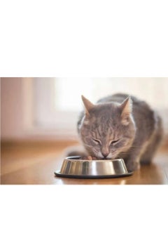 Pro Performance Pro Performance Adult Cat Food Chicken & Rice Flavor - 2 kg  - Image 2