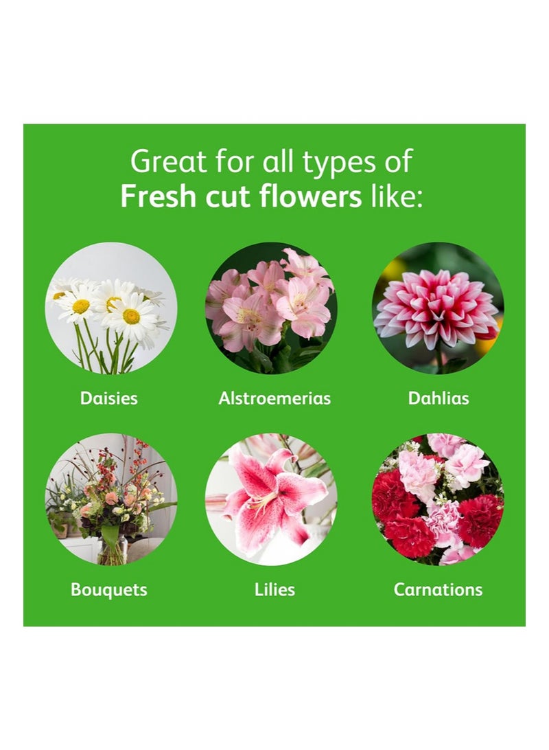 كريسال غذاء سائل للزهور، تركيبة مركزة شفافة لتنسيقات الزهور وباقات الزهور، يُخلط بالماء، مثالي لمستلزمات محلات الزهور والاستخدام المنزلي، زجاجة 250 مل (عبوة واحدة) - Image 4
