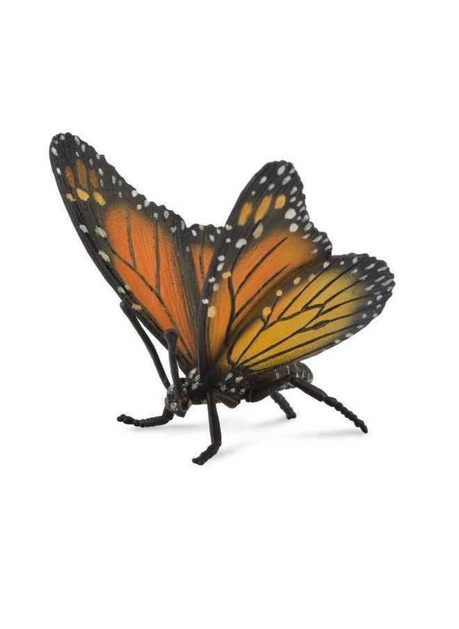 Insects Monarch Butterfly Toy Figure Authentic Hand Painted Model - pzsku/ZAB42664C28EB5A00E2DAZ/45/_/1680818485/ebc23ef7-9f4f-4f8b-8ff8-68b3c8d4dc4e