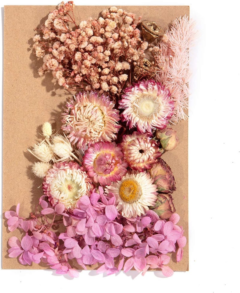 klarako 4 Pack Dried Flowers Include Many Different Kinds of Fragrant Pressed Flowers for Art DIY Crafts, Frame Making, Album Production, Resin Jewelry, Pendant Crafts, Making Art Floral Decors, Make Up - Image 3