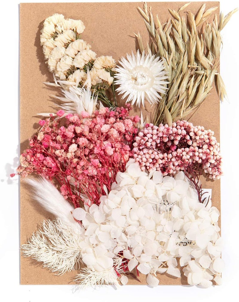 klarako 4 Pack Dried Flowers Include Many Different Kinds of Fragrant Pressed Flowers for Art DIY Crafts, Frame Making, Album Production, Resin Jewelry, Pendant Crafts, Making Art Floral Decors, Make Up - Image 5