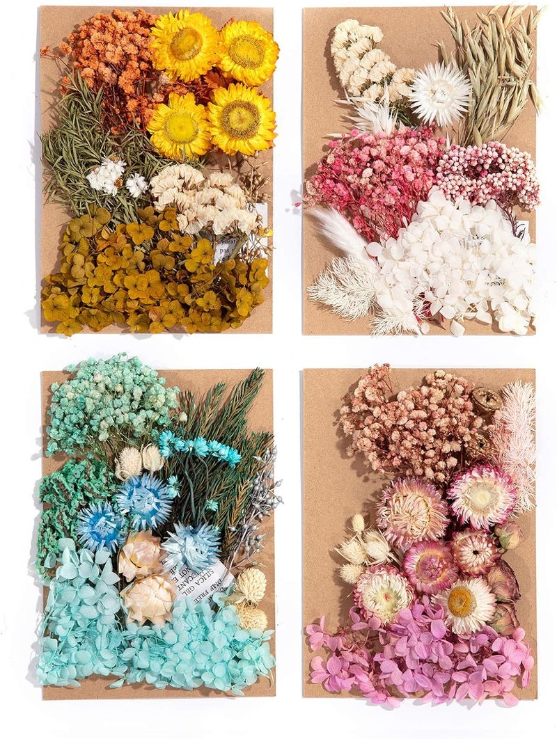 klarako 4 Pack Dried Flowers Include Many Different Kinds of Fragrant Pressed Flowers for Art DIY Crafts, Frame Making, Album Production, Resin Jewelry, Pendant Crafts, Making Art Floral Decors, Make Up - Image 1