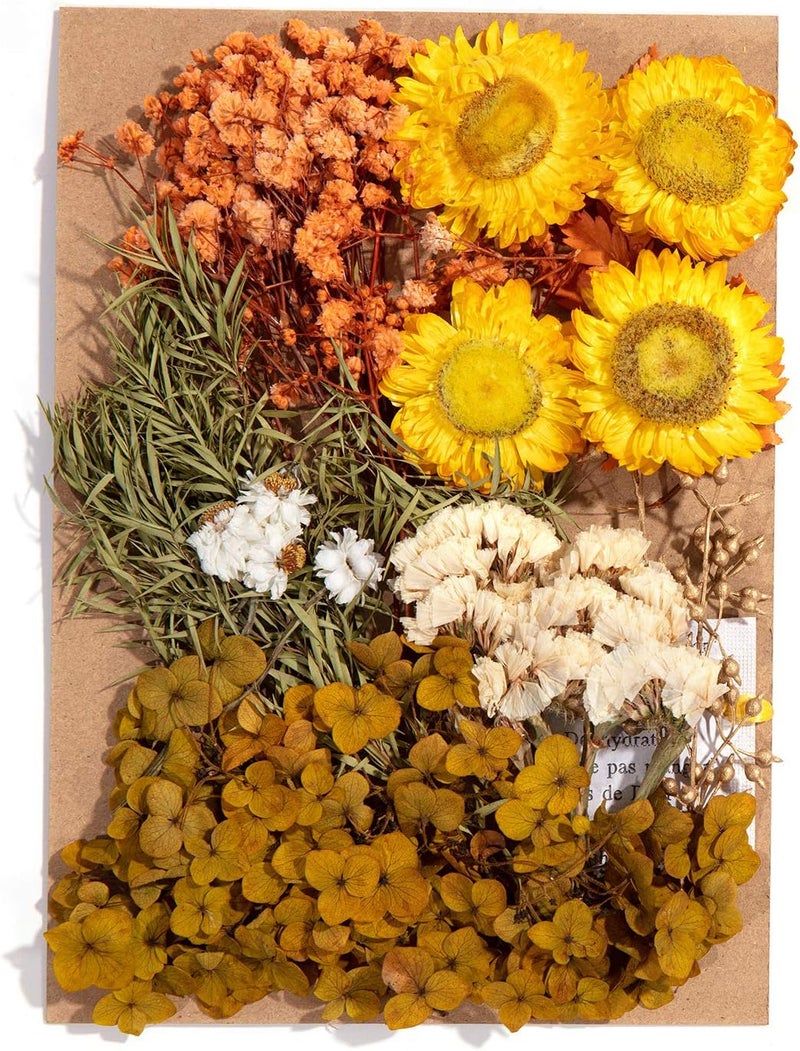 klarako 4 Pack Dried Flowers Include Many Different Kinds of Fragrant Pressed Flowers for Art DIY Crafts, Frame Making, Album Production, Resin Jewelry, Pendant Crafts, Making Art Floral Decors, Make Up - Image 4