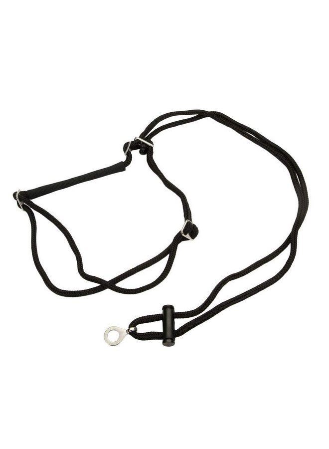 كوستال حزام التحكم في الكلاب القابل للتعديل من Coastal Pet Holt - حزام للكلاب الكبيرة والصغيرة - حزام للمشي للكلاب - تعليمات مرفقة - مستلزمات حيوانات أليفة عالية الجودة للكلاب - أسود، كبير (26 بوصة)