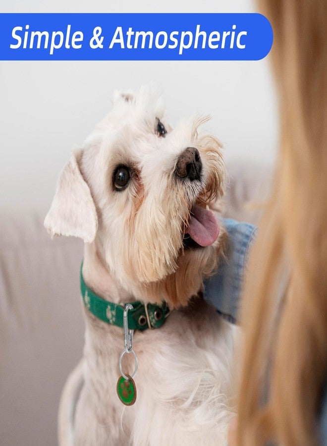 oruola مجموعة أورولا من 6 مشابك لبطاقات تعريف الكلاب، حامل متين لبطاقات التطعيم ضد داء الكلب، مشابك من الفولاذ المقاوم للصدأ، حامل آمن لبطاقات تعريف الحيوانات الأليفة، مشبك سهل التغيير، فضي - Image 5