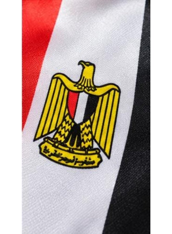 طقم 2 وشاح علم مصر بشعار النسر وشراشيب ذهبية – مناسب للاحتفالات والمناسبات الوطنية - Image 4