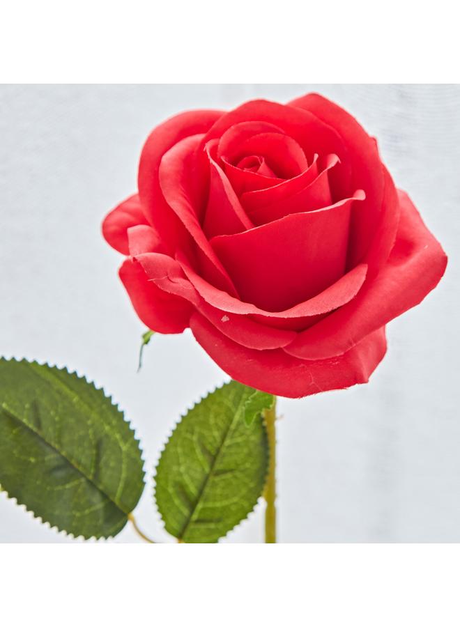 أريا عصا الورد 53 سم - Image 3