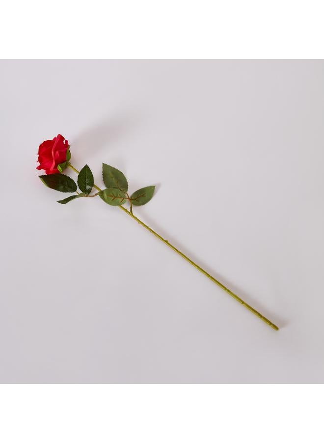 أريا عصا الورد 53 سم - Image 5