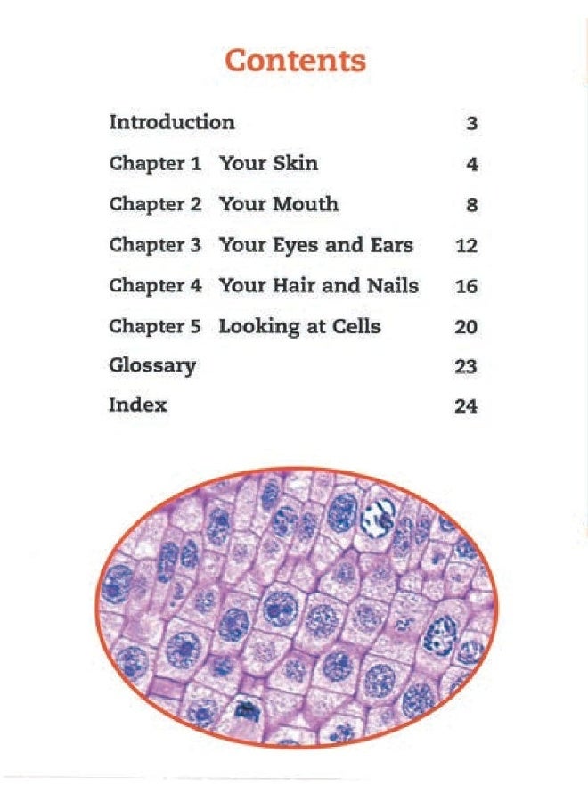 Rigby Star Independent Year 2 Lime Your Body Up Close Single - Image 5