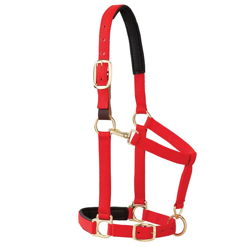 Weaver Equine Breakaway Horse Halter, Comfort Foam Padding, Adjustable Chin & Throat Snap Halters for Horses, Equine Tack,Average Size, Red - Image 4