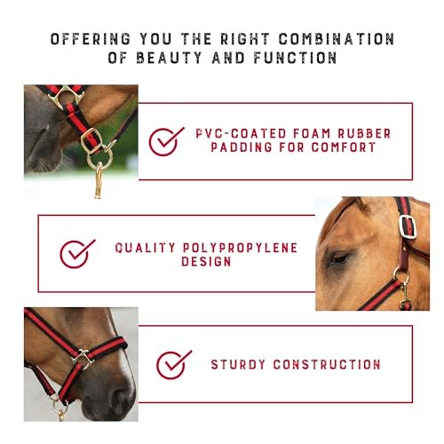 Weaver Equine Breakaway Horse Halter, Comfort Foam Padding, Adjustable Chin & Throat Snap Halters for Horses, Equine Tack,Average Size, Red - Image 5