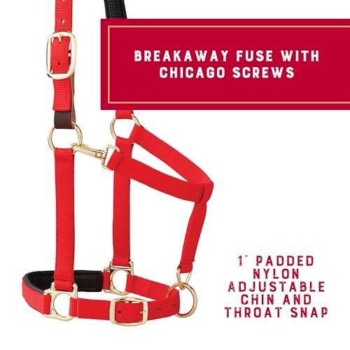 Weaver Equine Breakaway Horse Halter, Comfort Foam Padding, Adjustable Chin & Throat Snap Halters for Horses, Equine Tack,Average Size, Red - Image 3
