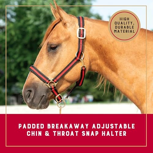 Weaver Equine Breakaway Horse Halter, Comfort Foam Padding, Adjustable Chin & Throat Snap Halters for Horses, Equine Tack,Average Size, Red - Image 2